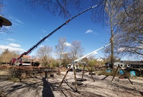 Fældning af træer med kran og lift