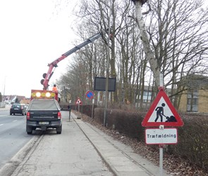 Træfældning nær vej. Træfældning Odense